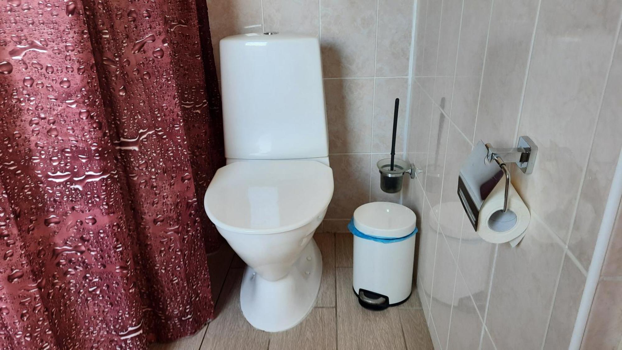Willipu Guesthouse Alatskivi Dış mekan fotoğraf