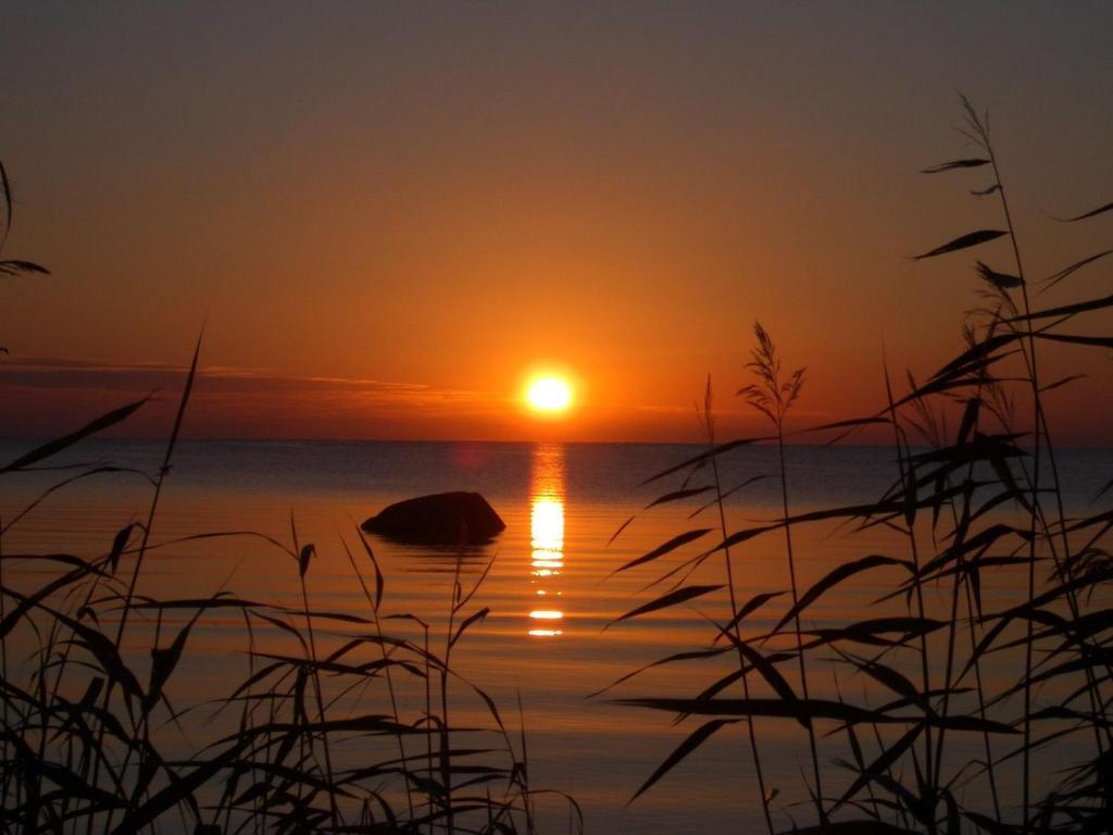 Willipu Guesthouse Alatskivi Dış mekan fotoğraf